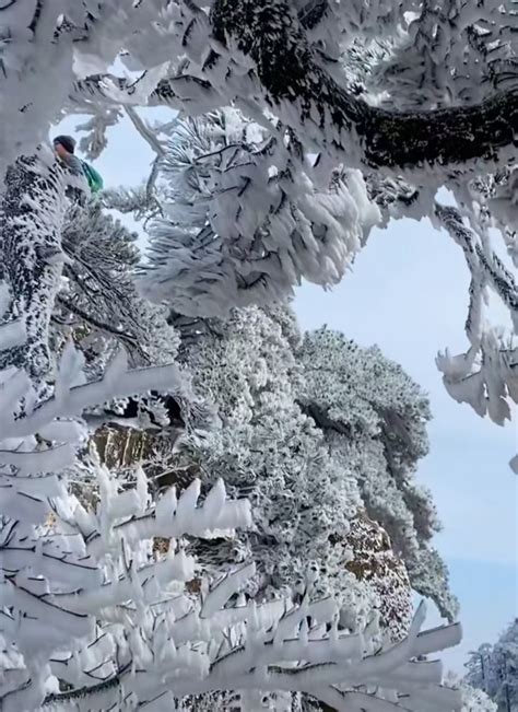 五岳归来不看山，黄山归来不看岳！ 财经头条