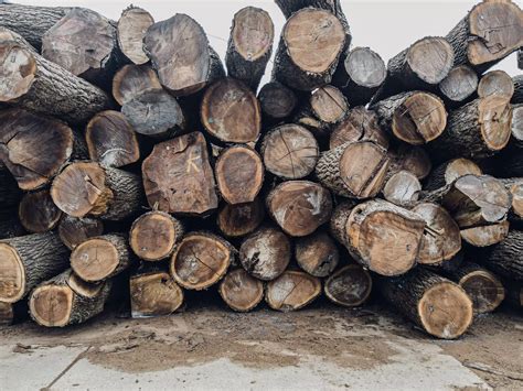 Knowing Your Woodlot Hardwoods Vs Softwoods Buskirk Lumber