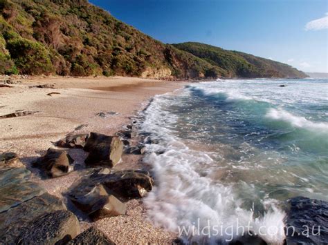 Clear morning at Blanket Bay - Wild Sight