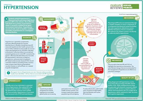 Infographic Systemic Arterial Hypertension Doctors Without Waiting Rooms