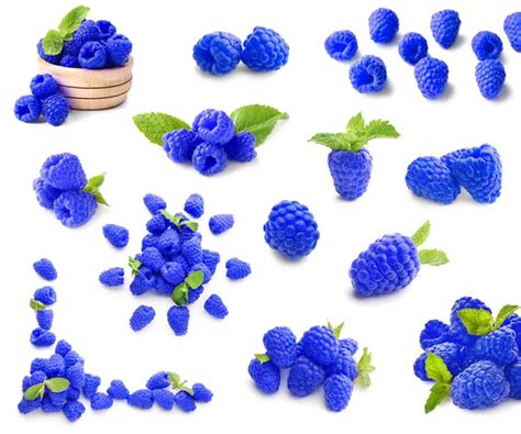 Blue raspberry Stock Photos, Royalty Free Blue raspberry Images ...