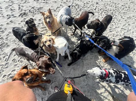I certainly had a workout today. The... - Doggy Bush Break
