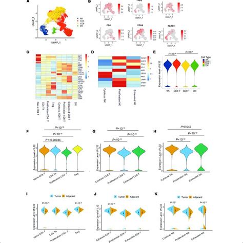 Il 32 Expression In Subtypes Of T And Nk Cells A Umap Plot Of T