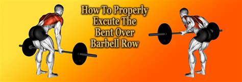 The Best Bent Over Barbell Row Exercise Instructions For Massive Size And Chiseled Muscle