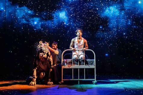 The Spectacular Life Of Pi Returns To The Lowry This Week