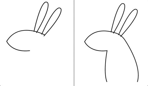 Comment Dessiner Un Lapin