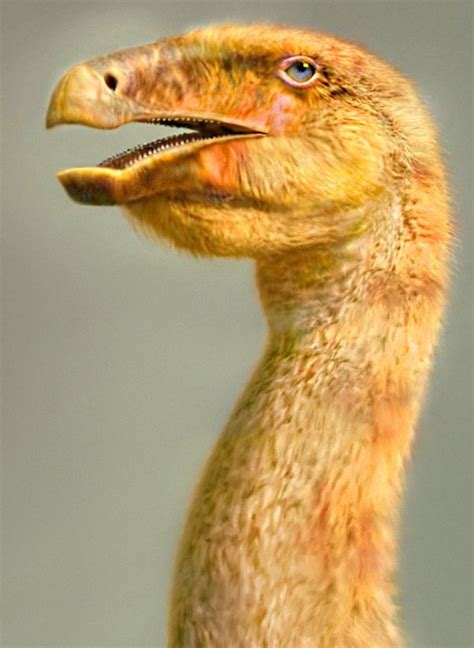 Therizinosaurus | Animals, Dinosaur, Reptiles