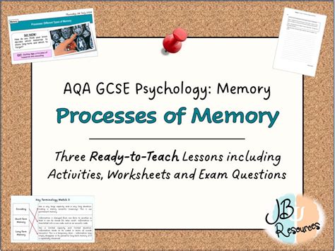 Processes Of Memory Lesson Bundle Aqa Gcse Psychology Memory Topic