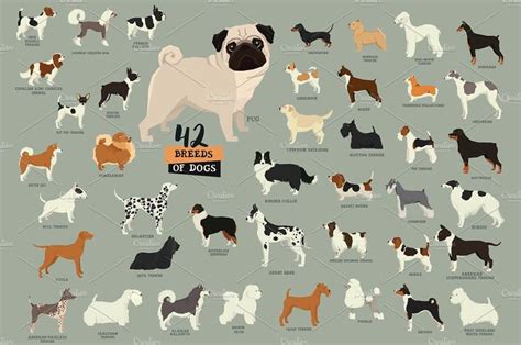 Dog breeds | Creative sketches, Pencil illustration, Watercolor and ink