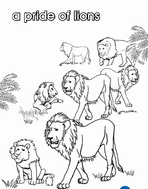 Pride Rock Lion King Coloring Clip Art Library