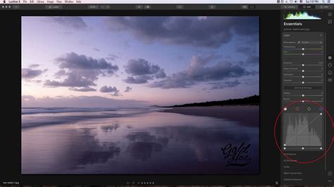 How To Create A Watermark In Luminar Easy Guide