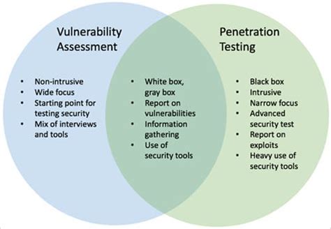 Vulnerability Assessment Qa Bible