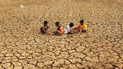 Sampai Kapan El Nino Di Indonesia Ini Jadwal Puncak Dan Dampaknya Di