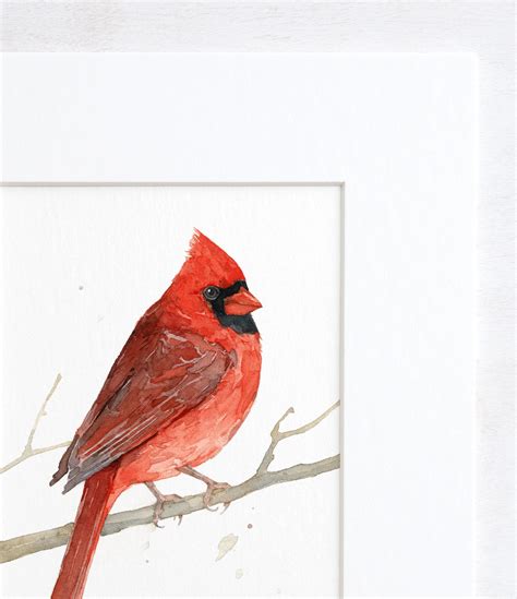 Cardinal Bird Paintings