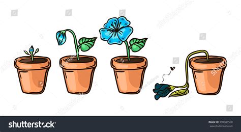 Flower Life Cycle Stock Vector (Royalty Free) 390683500 | Shutterstock