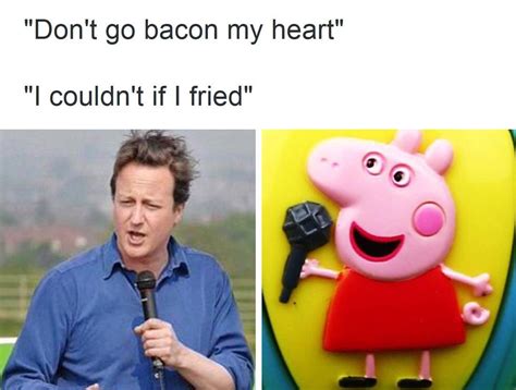 Piggate / Hameron | PigGate / Hameron | Know Your Meme