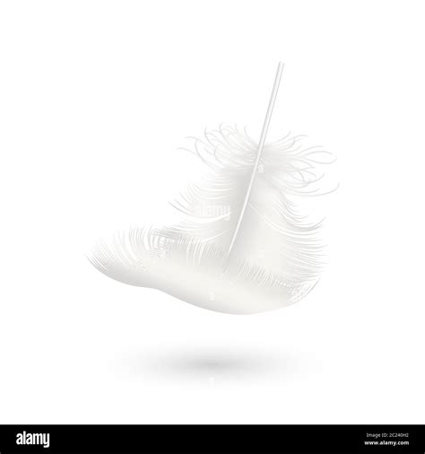 Vector D Realistic Falling White Fluffy Twirled Feather Icon Closeup