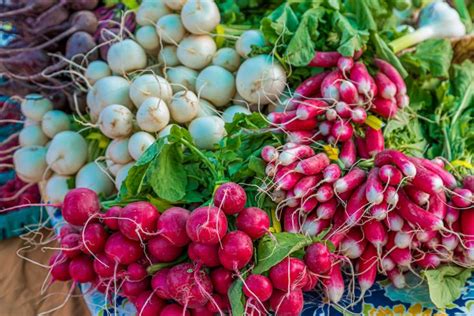 15 Radish Facts: Exploring the Versatile Root Vegetable - Facts.net