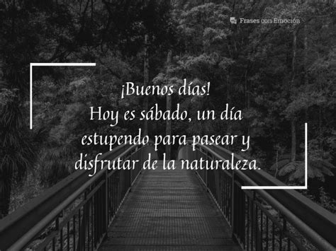 Frases De Buenos Días 15 Frases Con Emoción