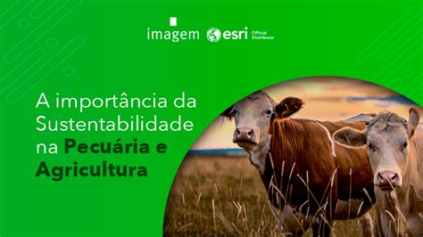 Post Blog A Import Ncia Da Sustentabilidade Na Pecu Ria E