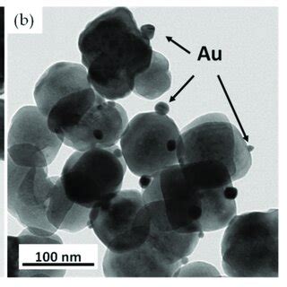 TEM Images Of The Surface Morphologies Of A NBT And B NAu NBT