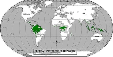 Equatorial Rainforest Map