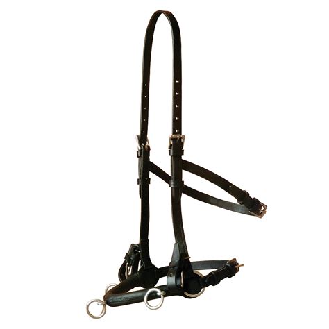 Artisan Tack – Spanish and Portuguese equestrian equipment