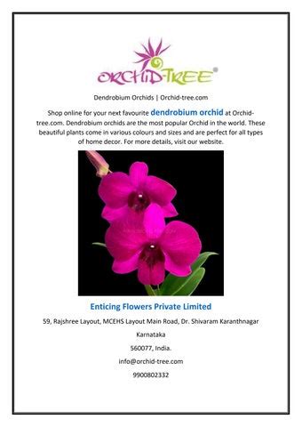 Dendrobium Orchids | Orchid-tree.com by Enticing Flowers - Issuu