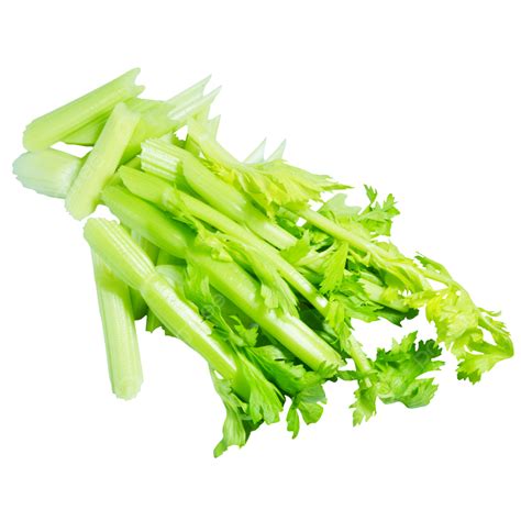 Celery Segment Clipart Png Vector Psd And Clipart With Transparent