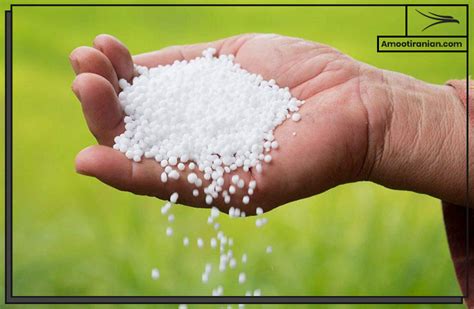 Nitrogenous Fertilizers | Amoot Iranian Trading Company