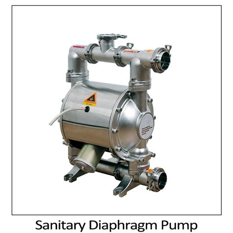 stainless steel pump  chocolate delivery transfer lobe pump  hot