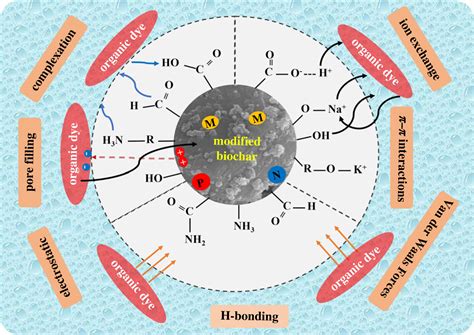 Advancements In Application Of Modified Biochar As A Green And Low Cost