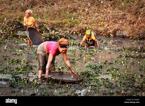 traditional fishing  majuli island carried    women assam