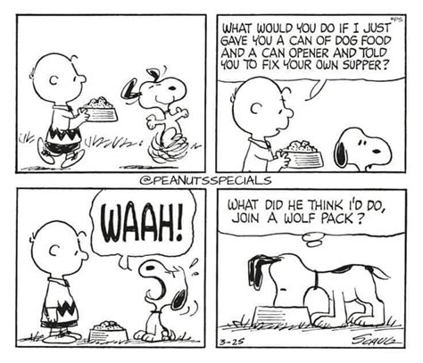 Pin By Susan Stewart 🌼 On Snoopy And The Gang 5 ️ Snoopy Cartoon Snoopy Comics Peanuts