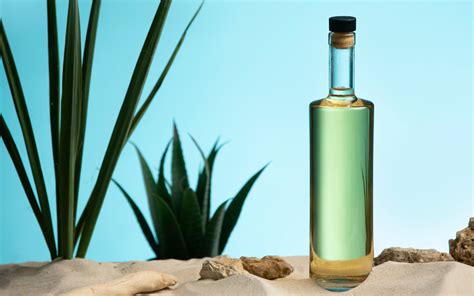 Top 7 Trends In Agave Spirits