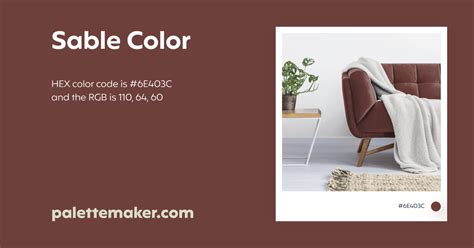 Sable Color - HEX #6E403C Meaning and Live Previews - PaletteMaker