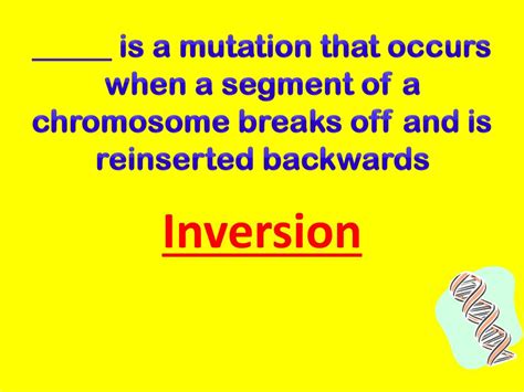 Ppt Patterns Of Heredity Review Powerpoint Presentation Free Download Id1985601