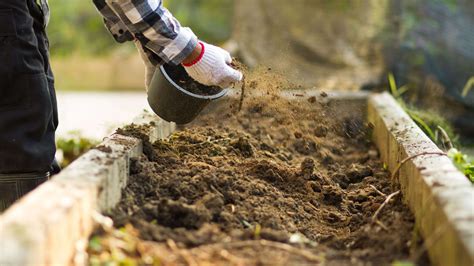 Cómo elegir fertilizantes para el suelo abonos y enmiendas