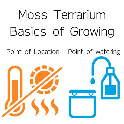 Moss Terrarium -Basics of Growing-