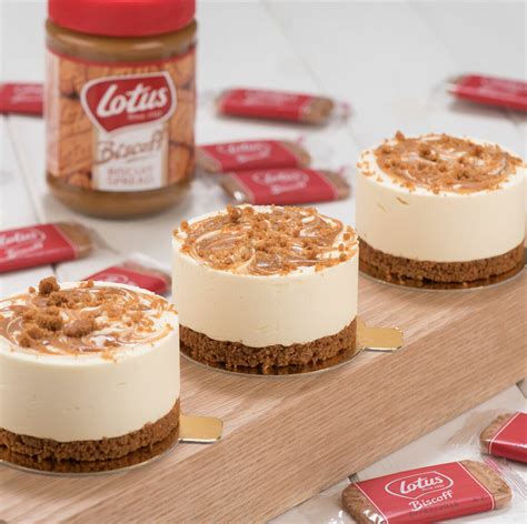 Lotus® Biscoff Cheesecake Just Desserts