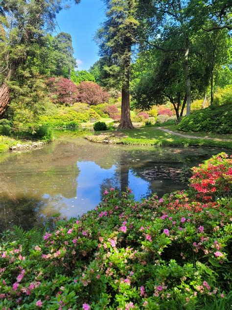 Exbury Gardens What To Know Before Visiting Britain And Beyond