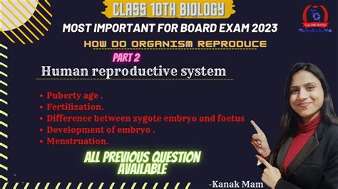 Sexual Reproduction In Human Beings Part 2 Class 10th