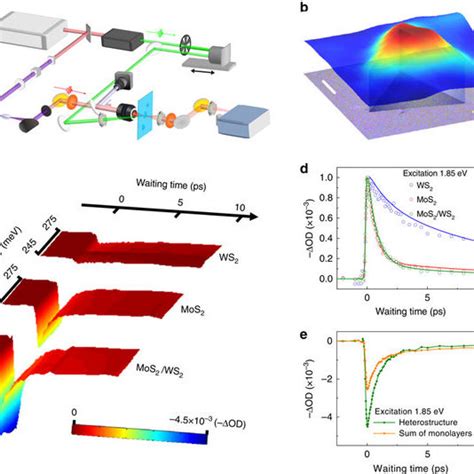 Properties Of The Mos2 Ws2 Heterostructure A Optical Microscope Download Scientific Diagram