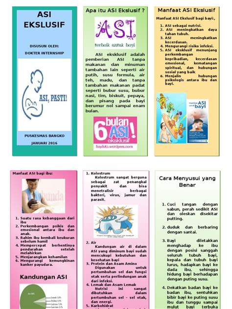 Leaflet Asi Ekslusif Pdf