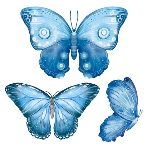 Free Vector Watercolor Butterfly Collection