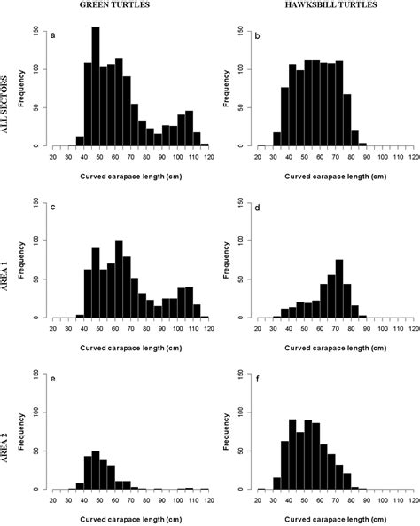 size class structure  green turtle hawksbill turtles  cocos