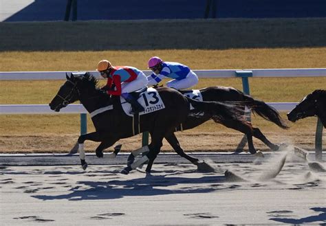 【京都3r新馬】武豊ディスタントスカイv！アンクルモー産駒 スポニチ競馬web