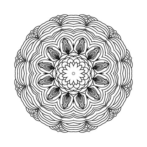 Hermoso Dise O E Ilustrador De Mandalas Vector Premium