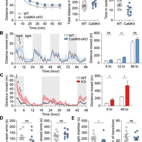 Generation Of CaMKII Cre Shank2 Fl Fl And Viaat Cre Shank2 Fl Fl Mice