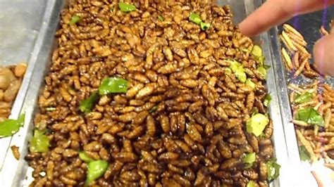 Night Food Market In Thailand Selling Edible Bugs Eating Insects In Krabi Thailand Bizarre